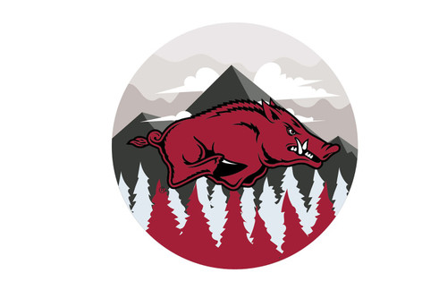 Arkansas Razorbacks 12" Landscape Circle Sign