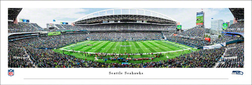 Seattle Seahawks 50 Yard Line Panorama