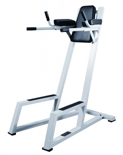 York Vertical Knee Raise with Dip