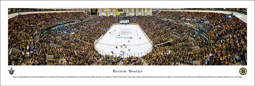 Boston Bruins Playoffs Panorama