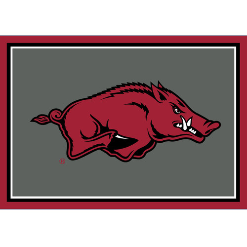Arkansas Razorbacks 3' x 4' Entry Rug