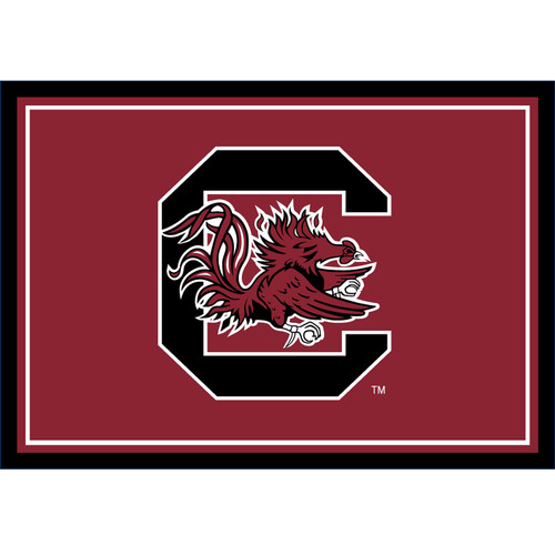 South Carolina Gamecocks 3' x 4' Entry Rug