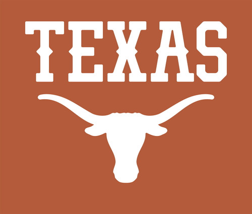 Texas Longhorns 51" x 60" Wall Tapestry