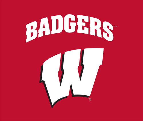 Wisconsin Badgers 51" x 60" Wall Tapestry