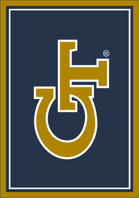 Georgia Tech Yellow Jackets 3' x 4' Entry Rug
