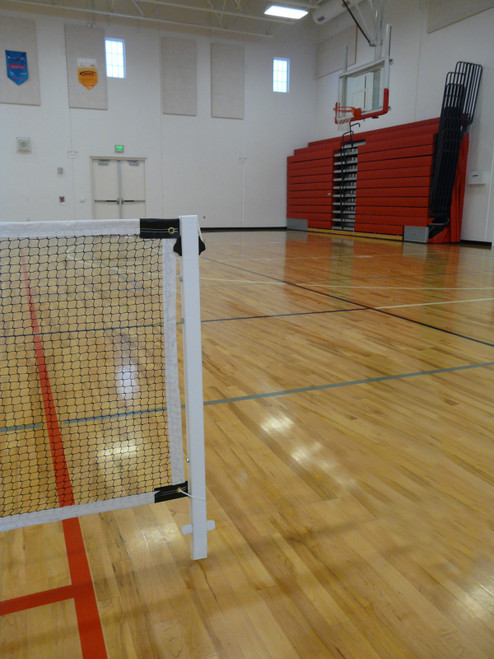 Bison P.E. Pickleball System