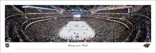 Minnesota Wild End Ice View Panorama