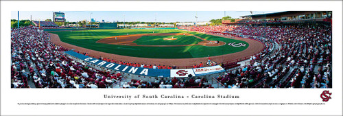 South Carolina Gamecocks Baseball Panorama