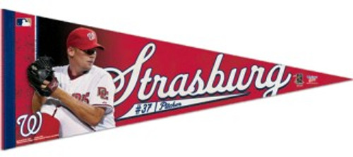 Washington Nationals Premium Pennant