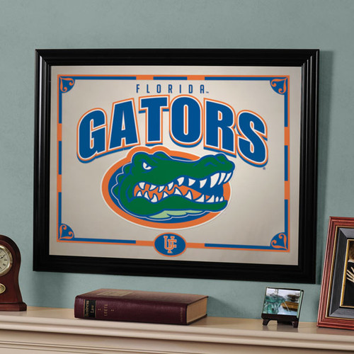 Florida Gators 23" x 18" Mirror