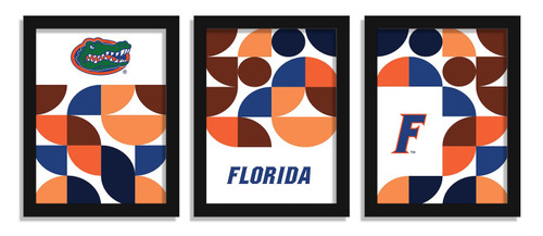 Florida Gators Minimalist Color Pop 3-Piece Framed Print