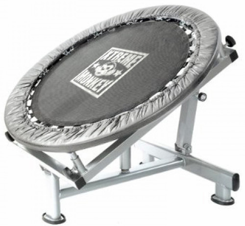 Xtreme Monkey Medicine Ball Rebounder