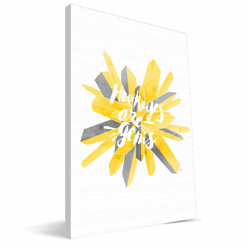 Iowa Hawkeyes 8" x 12" Gem Canvas Print