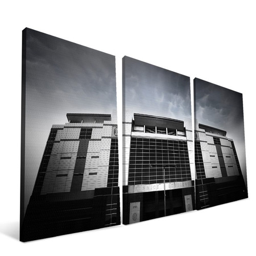 Iowa Hawkeyes 24" x 48" Stadium Canvas Print