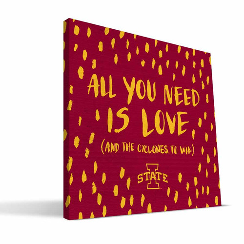 Iowa State Cyclones 12" x 12" All You Need Canvas Print