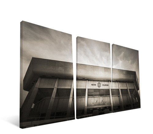 Iowa State Cyclones 24" x 48" Stadium Canvas Print