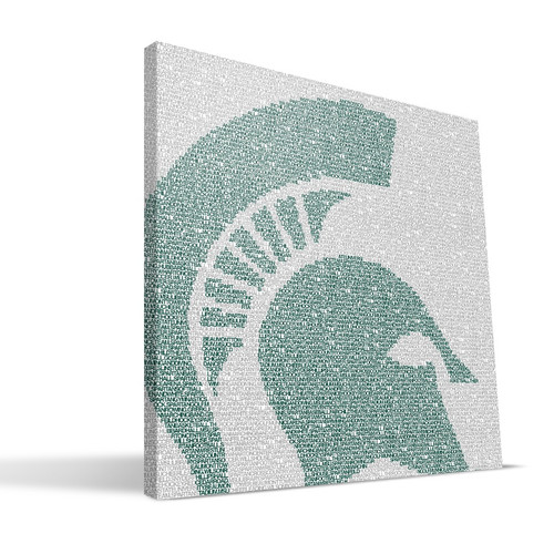 Michigan State Spartans 16" x 16" Typo Canvas Print