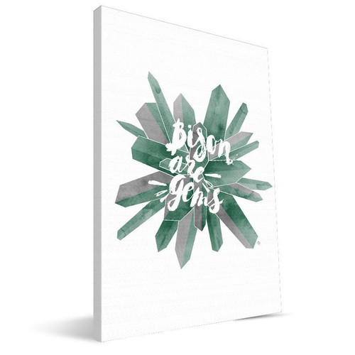 North Dakota State Bison 8" x 12" Gem Canvas Print