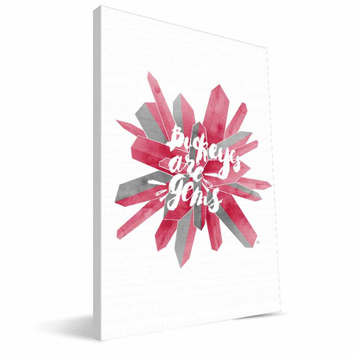 Ohio State Buckeyes 8" x 12" Gem Canvas Print