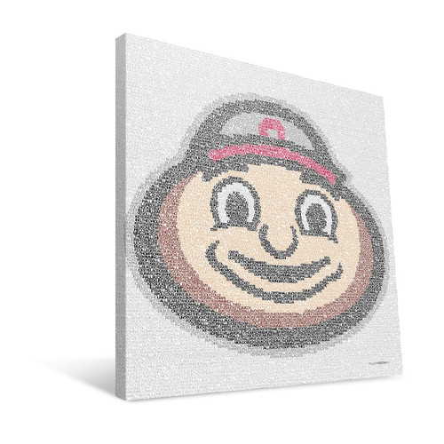 Ohio State Buckeyes 16" x 16" Typo Canvas Print