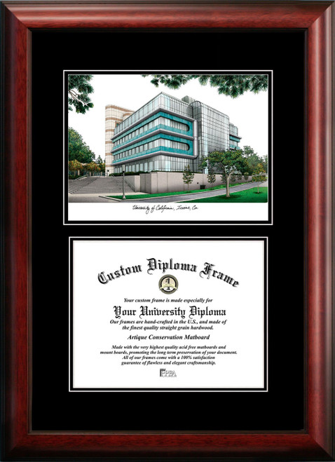 California Irvine Anteaters Diplomate Diploma Frame
