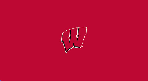 Wisconsin Badgers NCAA Pool Table Cloth