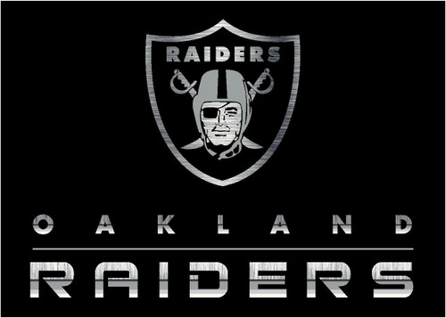 Las Vegas Raiders 4' x 6' NFL Chrome Area Rug