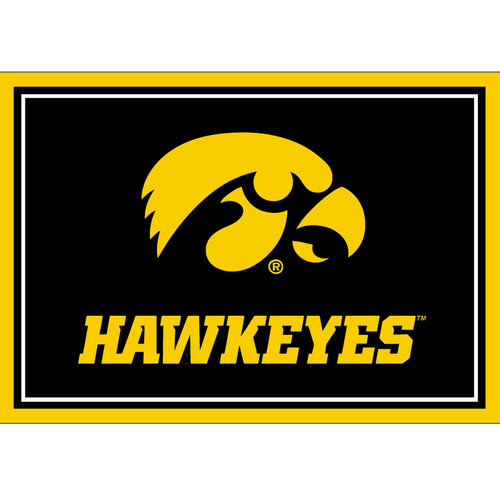 Iowa Hawkeyes 3' x 4' Area Rug