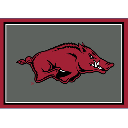 Arkansas Razorbacks 3' x 4' Area Rug