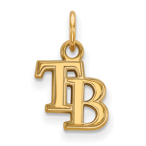 Tampa Bay Rays Sterling Silver Gold Plated Extra Small Pendant