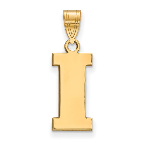 Iowa Hawkeyes Silver Gold Plated Medium Pendant