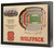 North Carolina State Wolfpack 25-Layer StadiumViews 3D Wall Art