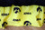 Iowa Hawkeyes Bed Skirt