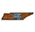 Middle Tennessee State Blue Raiders Distressed State with Logo Sign