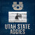 Utah State Aggies Team Name 10" x 10" Picture Frame