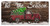 South Carolina Gamecocks 6" x 12" Tis the Season Sign