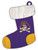 East Carolina Pirates Stocking Ornament