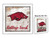 Arkansas Razorbacks College Fund Money Box