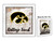 Iowa Hawkeyes College Fund Money Box