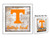 Tennessee Volunteers College Fund Money Box