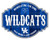 Kentucky Wildcats 24" Homegating Tavern Sign