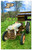 Purdue Boilermakers Farmscape 11" x 19" Sign