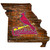 St. Louis Cardinals Distressed State with Logo Sign