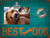 Miami Dolphins Best Dog Clip Frame