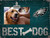 Philadelphia Eagles Best Dog Clip Frame