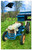 Carolina Panthers Farmscape 11" x 19" Sign