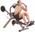 Body Solid Semi-Recumbent Ab Bench