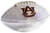 Auburn Tigers Swarovski Crystal Football