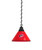 Carolina Hurricanes Pendant Light