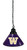 Washington Huskies Pendant Light